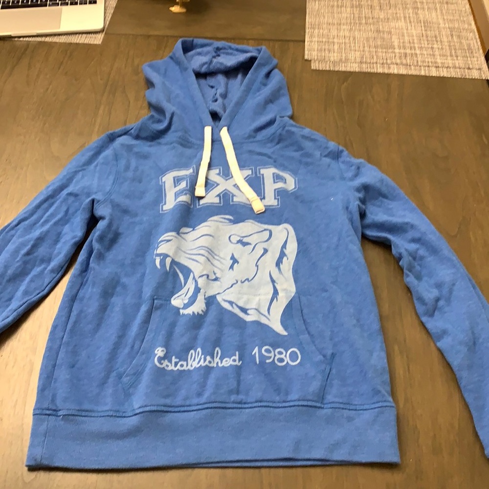 Express blue graphic thin hoodie